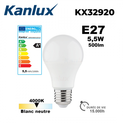 Ampoule LED E27 KANLUX