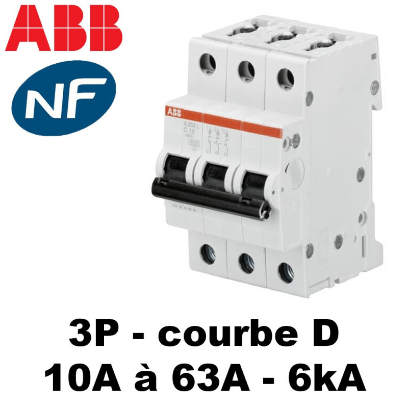 Disjoncteur type C ABB 20A 1+N raccordement à vis, Protection électrique