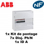 Coffret électrique pré-équipé avec disjoncteurs phase neutre 3kA ABB